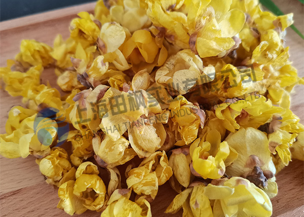 臘梅花凍干，鮮花冷凍干燥機(jī)