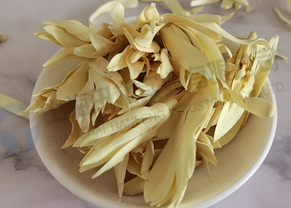 白玉蘭凍干，鮮花凍干機(jī)應(yīng)用于白玉蘭真空冷凍干燥