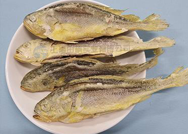 海魚凍干：海鮮凍干機應用黃花魚凍干優(yōu)點