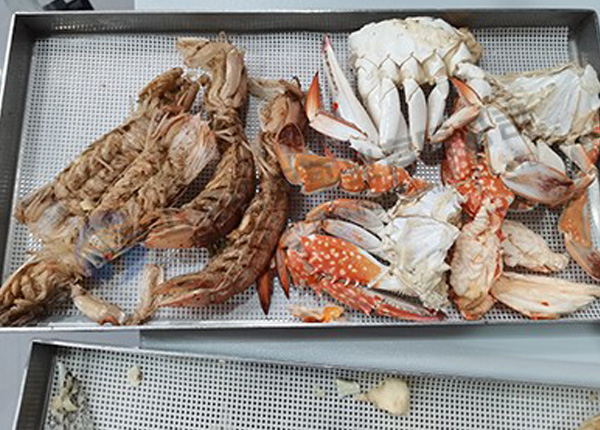 海鮮凍干機：食品真空冷凍干燥機在海鮮凍干加工和研發(fā)的設備